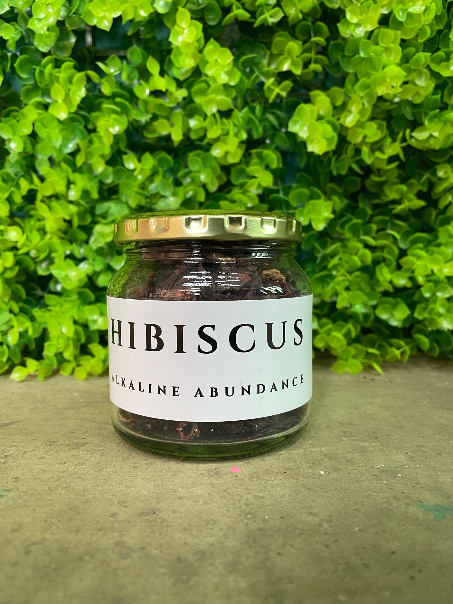 Hibiscus ๐บ