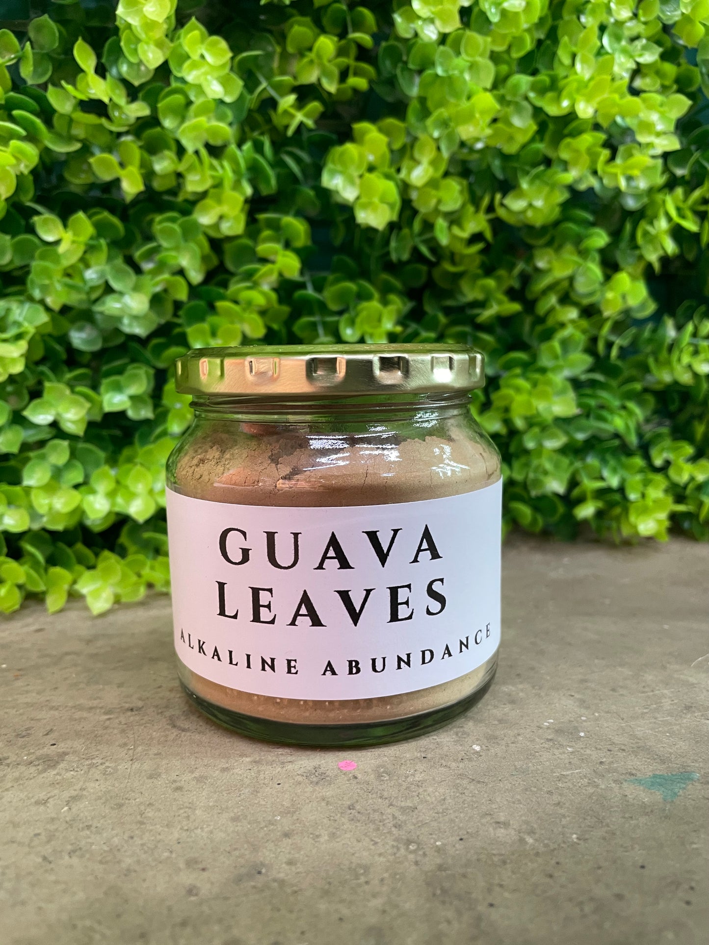 Guava Leaves π