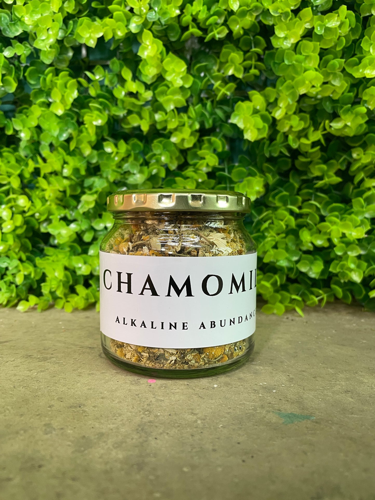 Chamomile ๐ผ