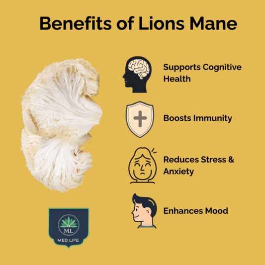 Lion's Mane + CBD