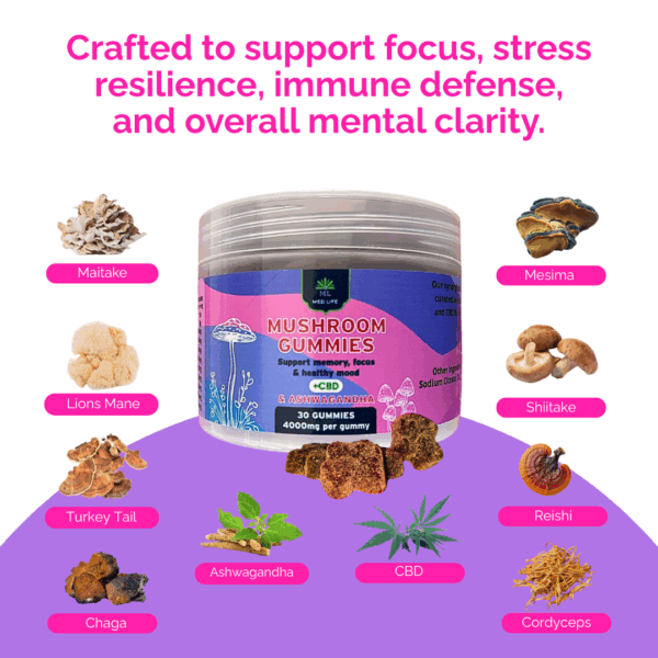 Mushroom Gummies