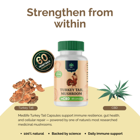 Turkey Tail + CBD