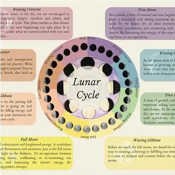 Lunar Cycle PosterOva The MoonLunar Cycle Poster