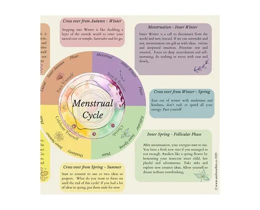 Menstrual Cycle Awareness PosterOva The MoonMenstrual Cycle Awareness Poster