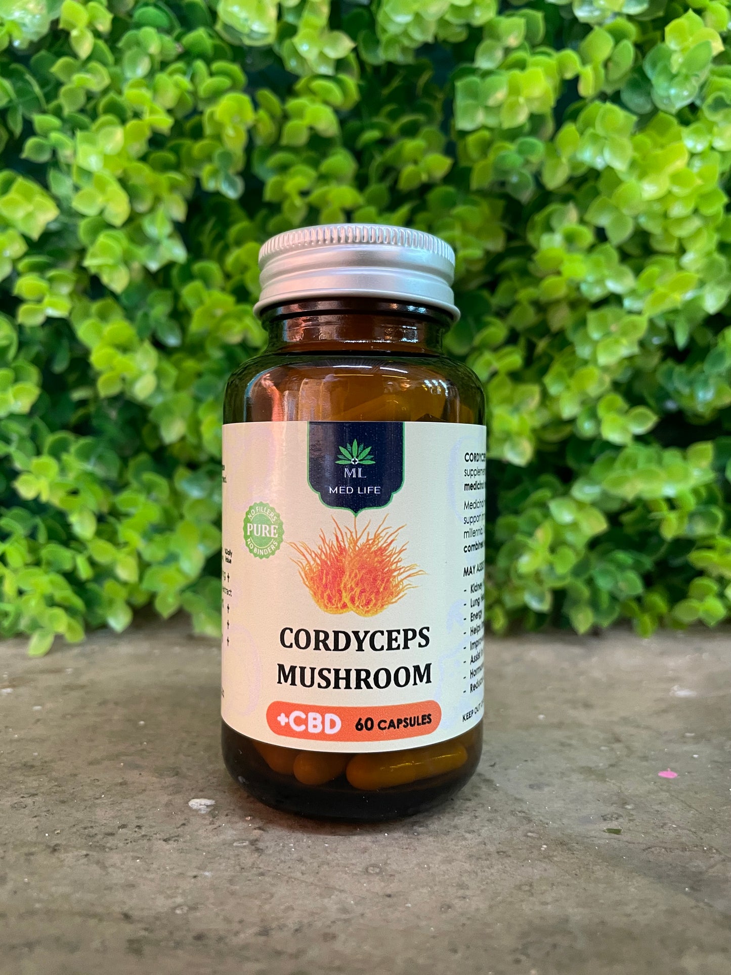 Cordyceps + CBD