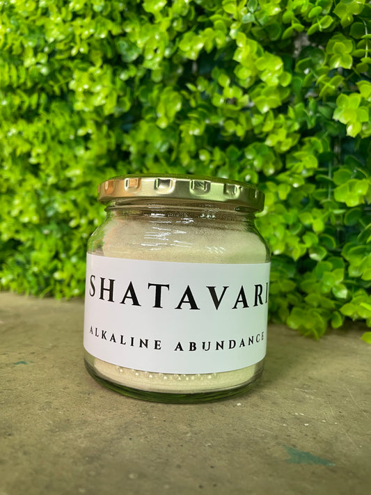 Shatavari 🌸