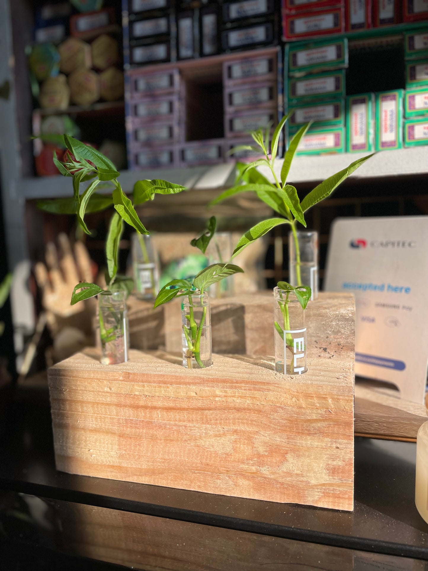 Propagation Station