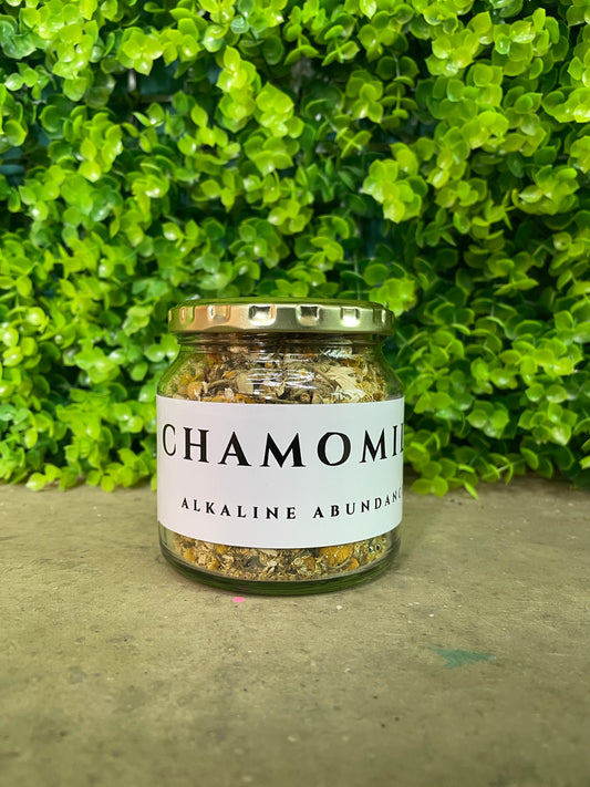 Chamomile 🌼