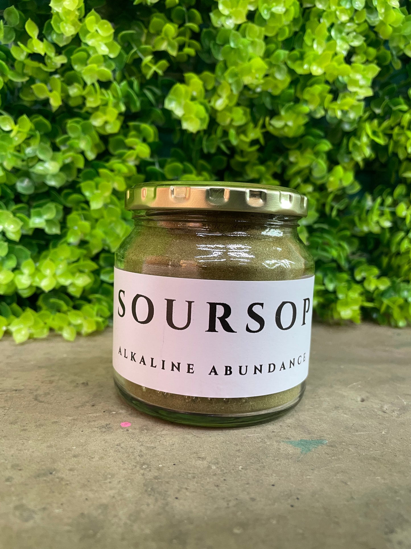 Soursop 🥭