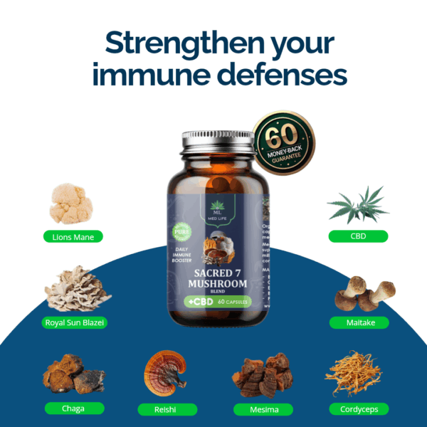 Sacred 7 Mushroom + CBD