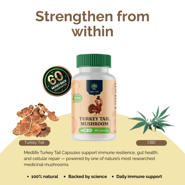 Turkey Tail + CBD